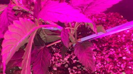 20180813_223241.jpg