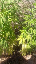 20180815_102414.jpg