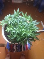 IMG_0630.JPG