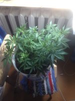 IMG_0656.JPG