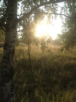 IMG_0662.JPG