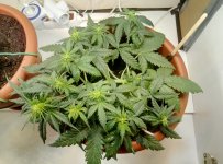 P80819-122025.jpg P80819-122025.jpg