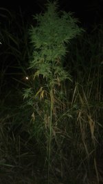 20180823_013930.jpg 20180823_013930.jpg