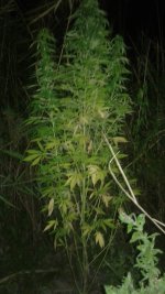 20180823_014045.jpg 20180823_014045.jpg