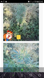 Screenshot_20180825-224228.png