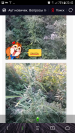 Screenshot_20180825-224236.png