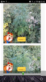 Screenshot_20180825-224240.png
