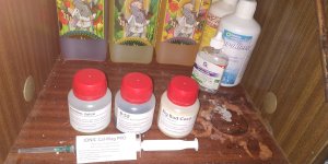 IMG_20180826_072025[1].jpg
