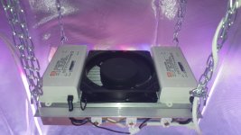 20180828_022955.jpg