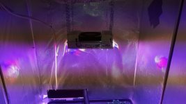 20180828_022918.jpg