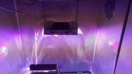 20180828_022907.jpg