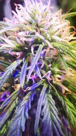 20180828_035210.jpg