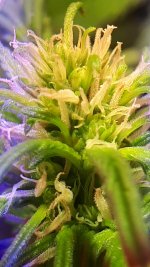 20180828_035124.jpg