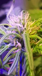 20180828_034901.jpg