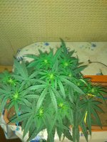 IMG_20180828_234027.jpg