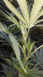20180828_073056.jpg