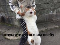 1507709202158271165.jpg 1507709202158271165.jpg