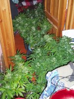 29 - 30 авг 2018JPG (24).JPG