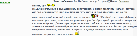 Ну, думаю кусты нужно ещё додержать до готовности и потом пролечить месяцок- полтора для полно...png