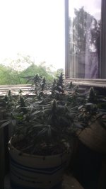 8smLbd49LQc.jpg