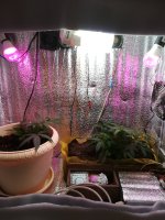 IMG_20180905_173903[1].jpg