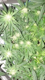 20180906_010302.jpg
