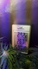 20180906_033752.jpg