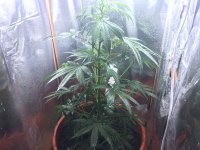 IMG_0664.JPG