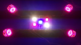 20180910_204431.jpg