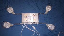20180910_204152.jpg