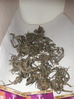20180912_221213.jpg