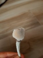 20180913_191603.jpg