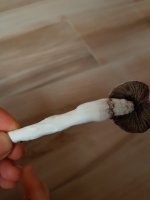 20180913_191722.jpg
