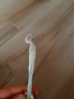 20180913_191528.jpg