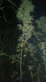 20180914_233927.jpg