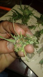 20180915_005510.jpg