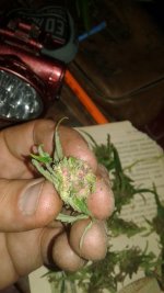 20180915_005531.jpg