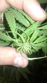 20180914_234653.jpg