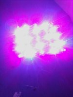 IMG_20180902_195122.jpg
