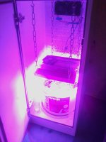 IMG_20180916_184348.jpg