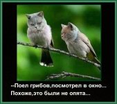 image (1).jpg