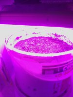 IMG_20180922_152019.jpg