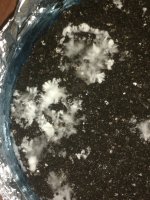 IMG_20180924_100648754.jpg