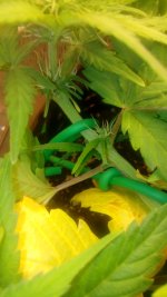 20180927_141050.jpg