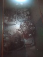 IMG_20180927_154508864.jpg