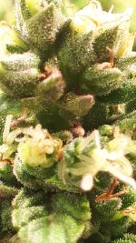 20180927_201107.jpg