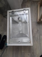 20180928_161631.jpg