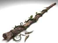 Без названия.jpg