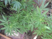 DSCN5855.JPG