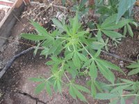 DSCN5858.JPG